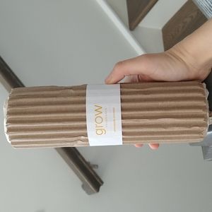 Unopened grow fragrance pineapple coconut